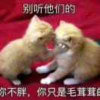 5cf8d592bef6b078971f612d7927734f5284cae9