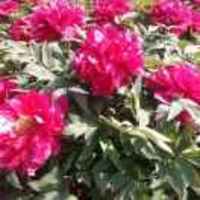 57b055be951876c65c5b4b1069b6926389bd5a2a