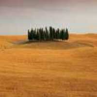 0cafa1237040abd404d425ea4921cae9764a6198