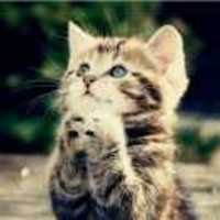 4094940d442f51a2994444109918bcc3f0343352