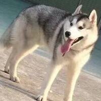 5b93a6b7c3a839836be9c2929fd75df4406dccf0