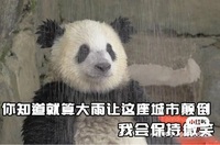 8ce220379bb6101d672c8d57cf5c4dd7fc447935